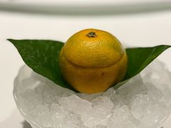 -福1015(愚园路店)