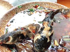 石锅苗苗鱼-谭记石锅鱼府(三道堰店)