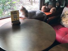 -咖法森林·咖啡  酒吧(天河店)