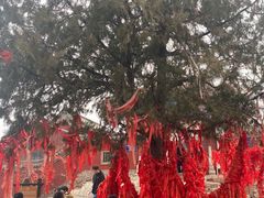 -青州市云门山风景区