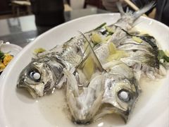 -观桥阁(锦溪店)