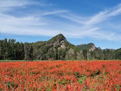 -百里山水画廊乌龙峡谷