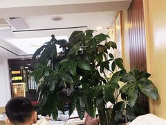 -郑远元专业修脚房(文三路九莲新村店)