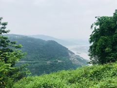 -铁山坪森林公园