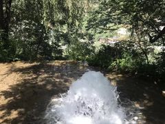 -沕沕水生态风景区