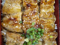 酱烧黑毛猪五花肉饭-沼津港渔市(宏伊国际广场店)