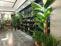 -瑶池足道养生SPA