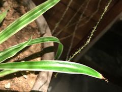 -时光花园(白鹭洲店)