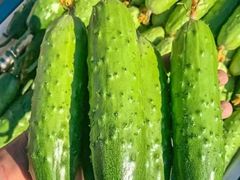 -78线水果批发市场精品厅五号