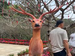 -广东茂名森林公园