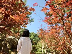 -广州市帽峰山景区