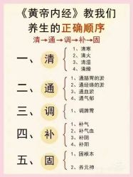 -玛莲朵·海菲秀冰珀科