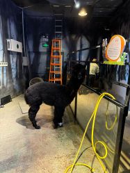 -酷嗒动物文化乐园(cutezoo西溪乐天城店)