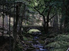 -炎陵县神农谷国家森林公园