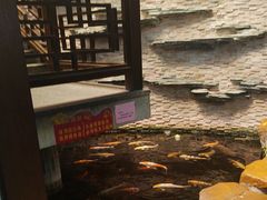-伯乐居茶艺馆(石岐大信店)