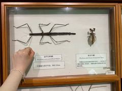 -昆明动物博物馆