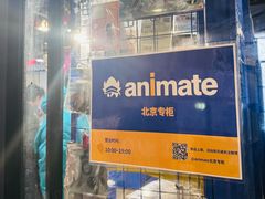 -Animate(工人体育场东路店)