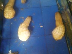 -山东八大碗山东老字号