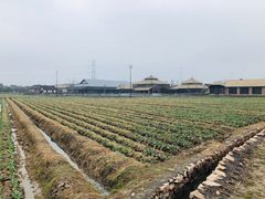 -乌村