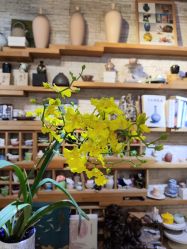 -今日陶艺(富力广场店)