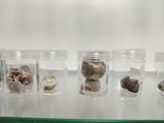 -上海市东方医院(总院)