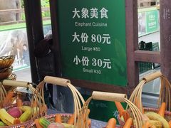 -野象谷景区
