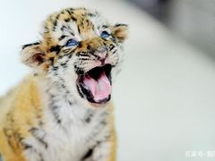 -诚·鳗屋(星摩尔店)