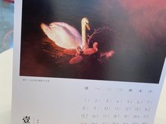 -好利来(温江合生汇店)