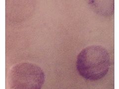 上海市中医医院(芷江总院)-上海市中医医院(芷江路院区)