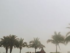 -观澳平台