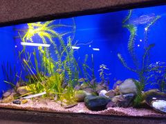 -上海海洋水族馆