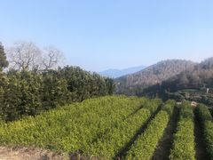 -乌石村