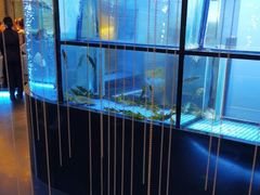 -王家渡火锅店(棕榈泉店)