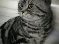 -瑞鹏瑞爱宠物医院·全科·猫科·血液透析中心(龙头寺店)