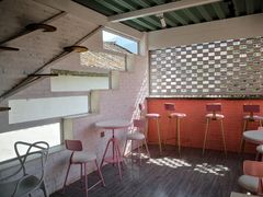 -喵屿·大理花园猫咖