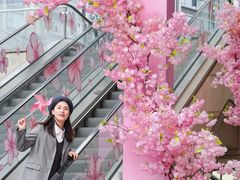 -首开·龙湖成都西宸天街