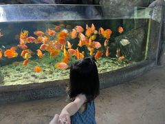 -福州罗源湾海洋世界旅游区