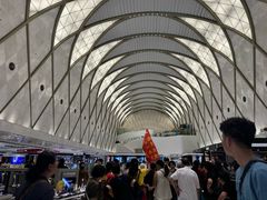 -乐天免税店(明洞店)