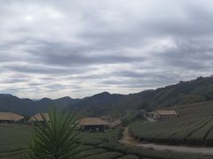 -优游吧斯邹族文化部落