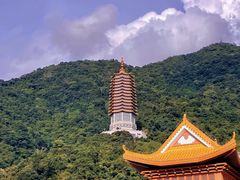 -深圳市中科院仙湖植物园