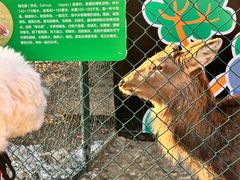 -枫叶小镇奥特莱斯