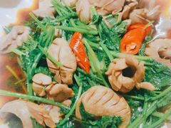 香菜拌猪腰-聪辉同安老美食饭店(大元路店)