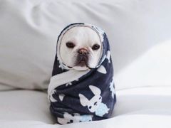 -唐晋人家(源深路店)