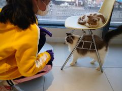 -怪兽屋·羊驼·猫咖·狗咖(俊华广场店)