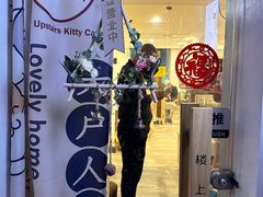 -楼上猫咖(罗湖店)