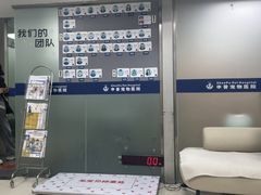 -申普宠物医院·心脏介入·心血管微创(总院)