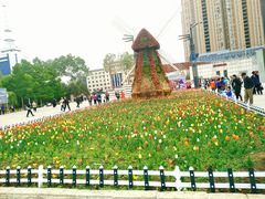 -长春公园(普阳街道)