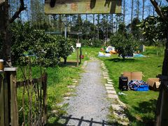 -前小桔亲子创意农场·草莓采摘·露营烧烤