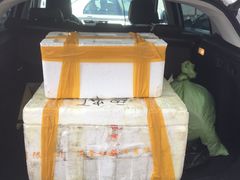 -江杨农产品批发市场