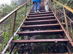 -青峰峡国家森林公园